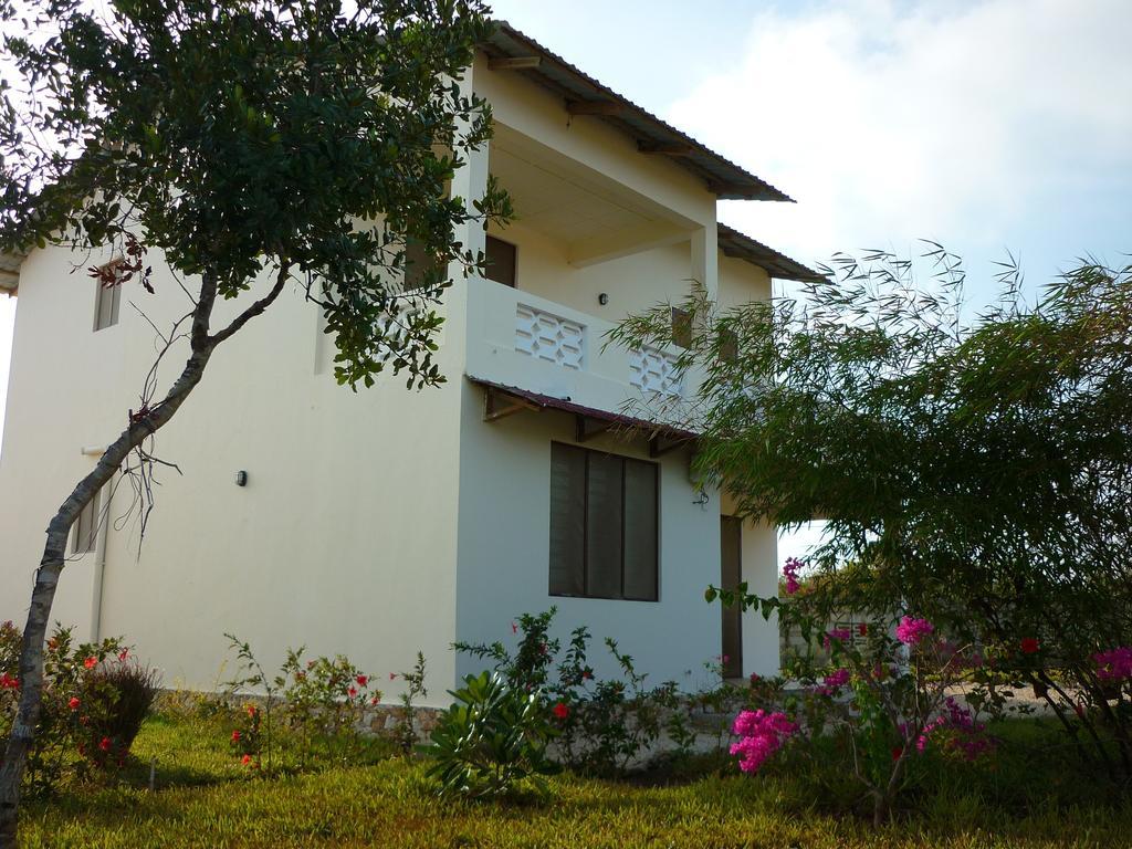 Kamili View Apartments Kiwengwa  Buitenkant foto