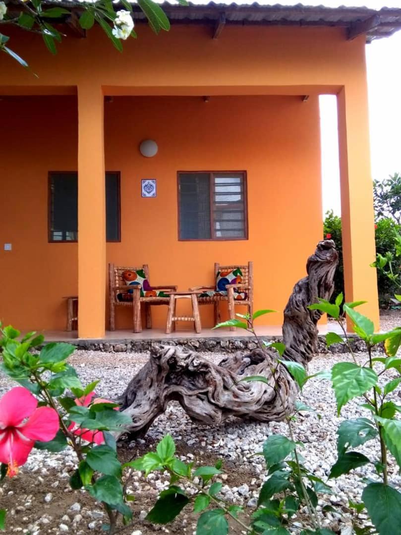 Kamili View Apartments Kiwengwa  Buitenkant foto